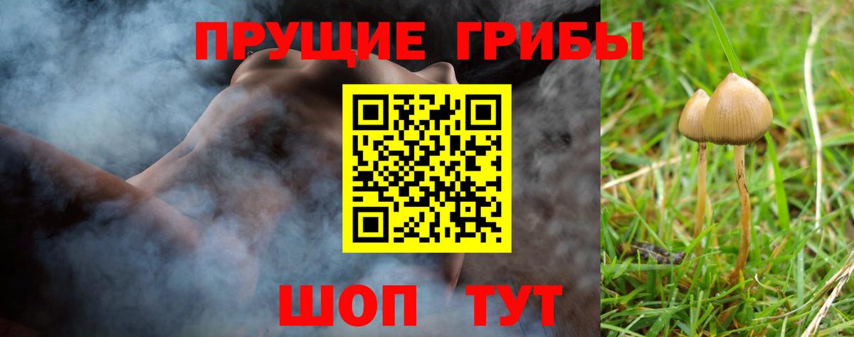 Галлюциногенные грибы мухоморы Ревда